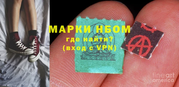 сатива Коряжма