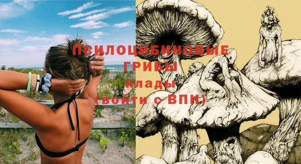 ECSTASY Горно-Алтайск