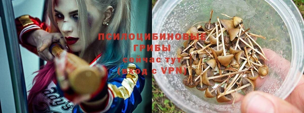 mix Горняк